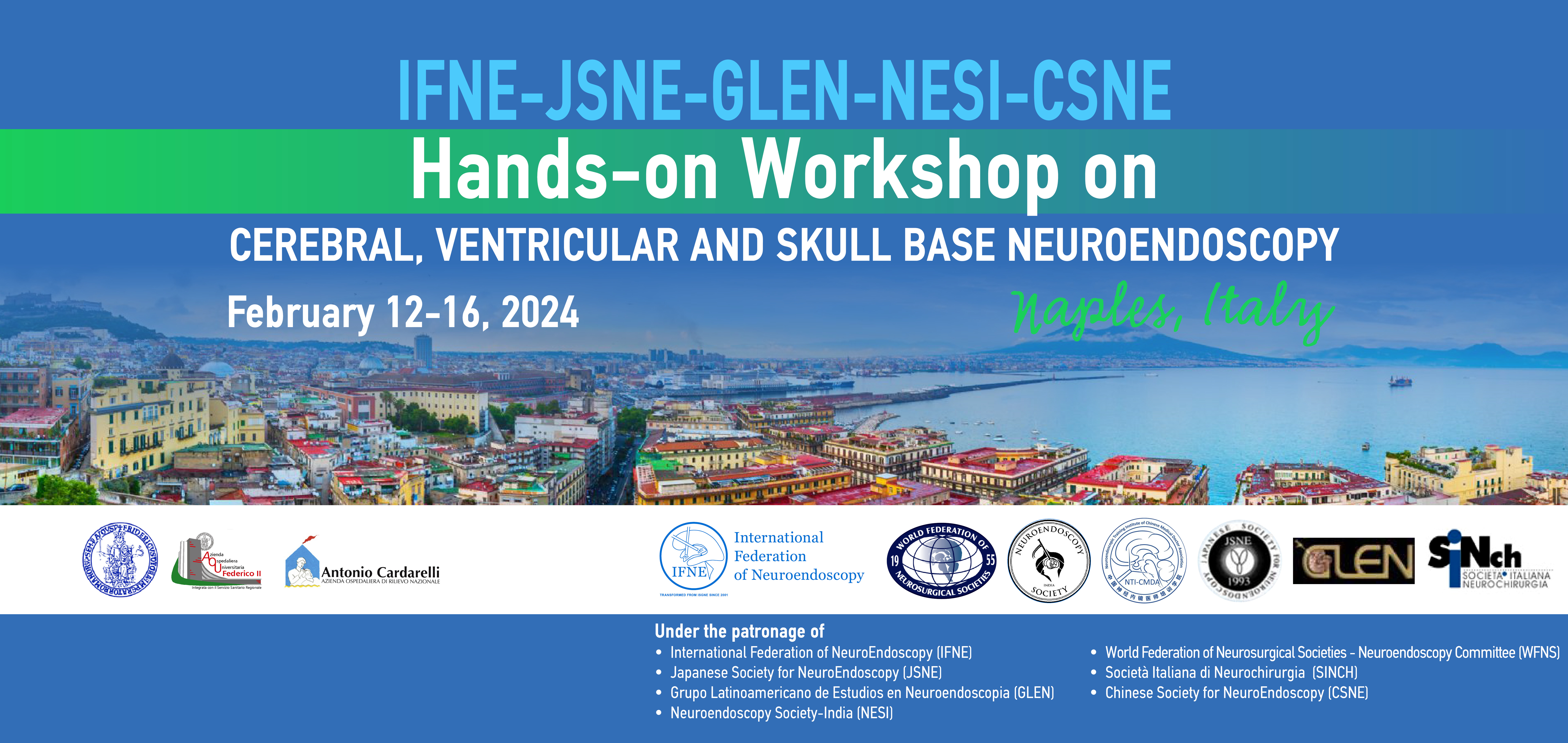 IFNE-JSNE-GLEN-NESI-CSNE Hands-on Workshop on Cerebral, Ventricular and Skull Base Neuroendoscopy  | Naples, Italy | 	February 12-16,2024