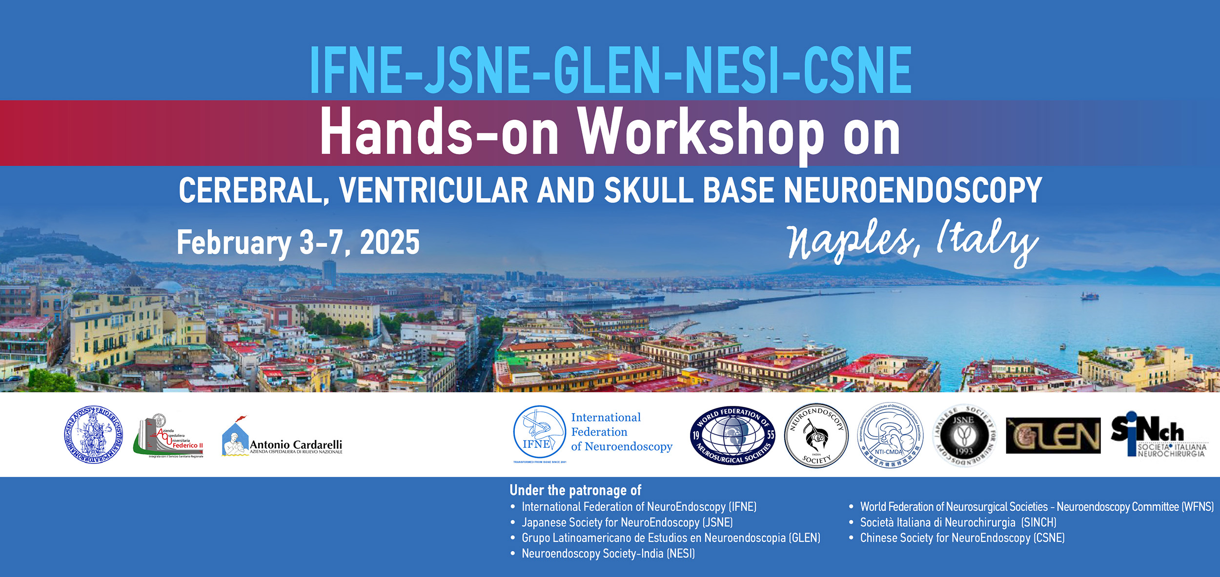 IFNE-JSNE-GLEN-NESI-CSNE Hands-on Workshop on Cerebral, Ventricular and Skull Base Neuroendoscopy  | Naples, Italy | 	February 3-7, 2025
